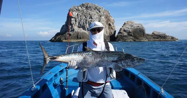 保持快乐，才能“爸”气十足